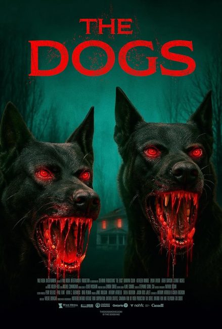 مشاهدة فيلم The Dogs 2025 مترجم حصرى اون لاين على أكثر من سيرفر